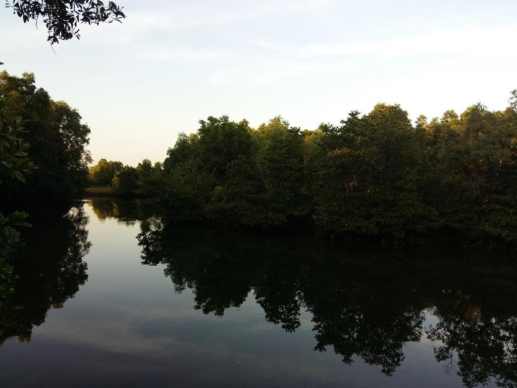Mangroves & More @ Cambodia Sihanoukville Luaran gambar