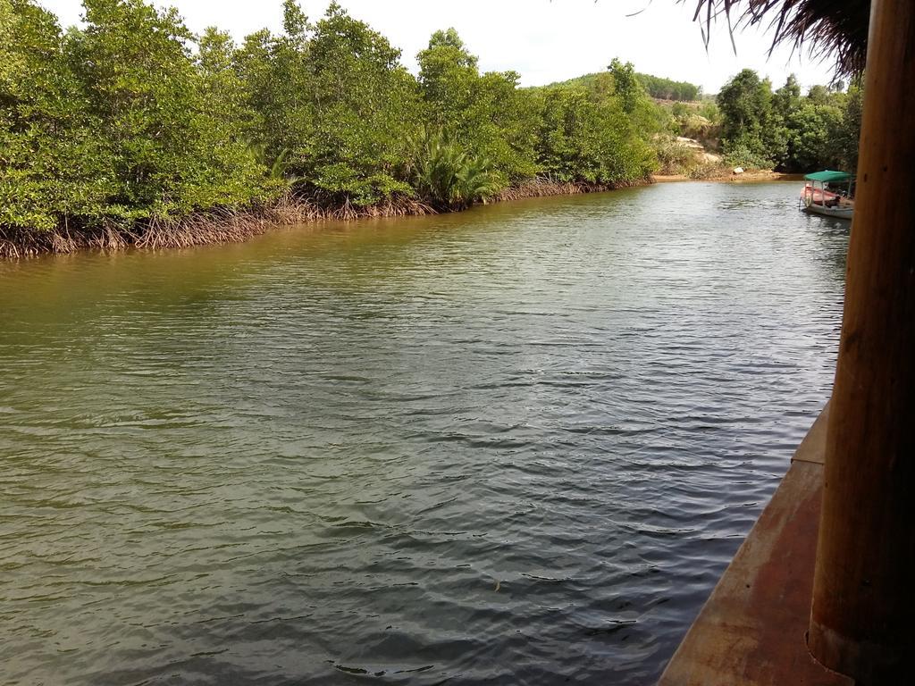 Mangroves & More @ Cambodia Sihanoukville Luaran gambar