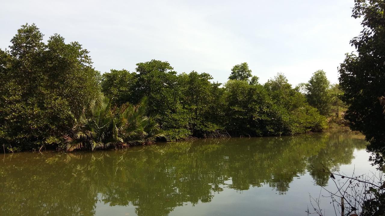 Mangroves & More @ Cambodia Sihanoukville Luaran gambar