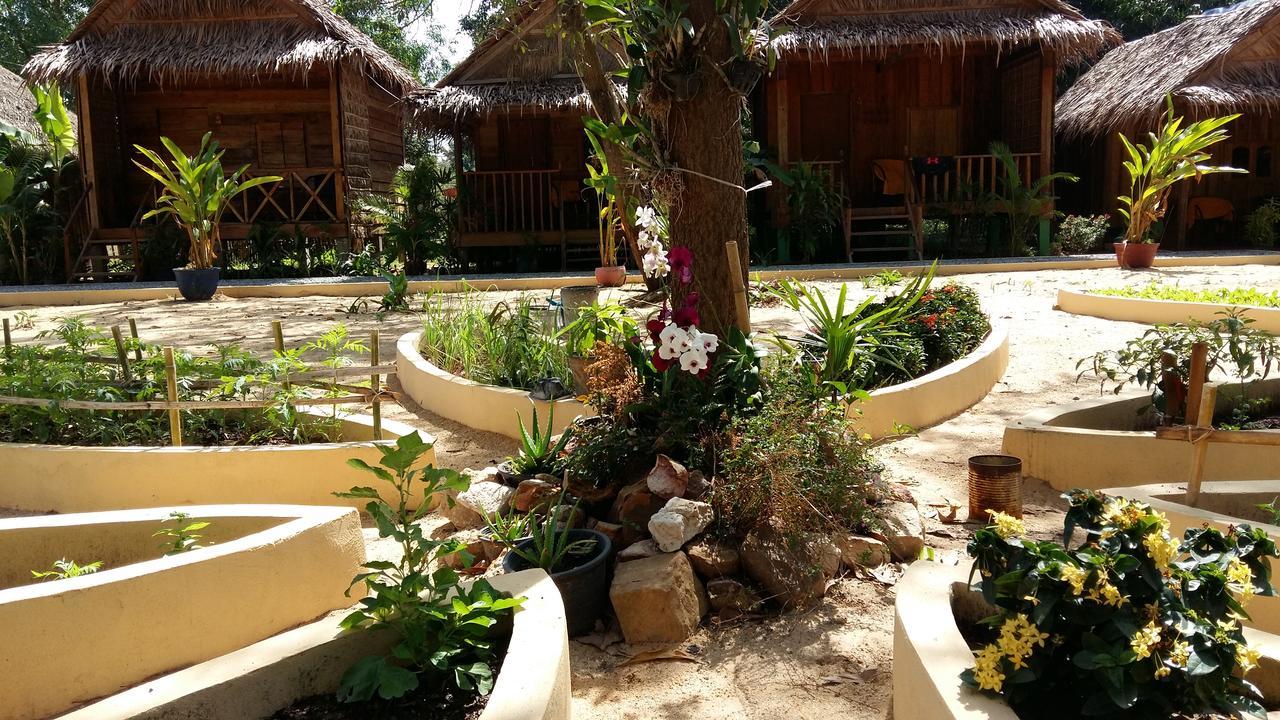 Mangroves & More @ Cambodia Sihanoukville Luaran gambar
